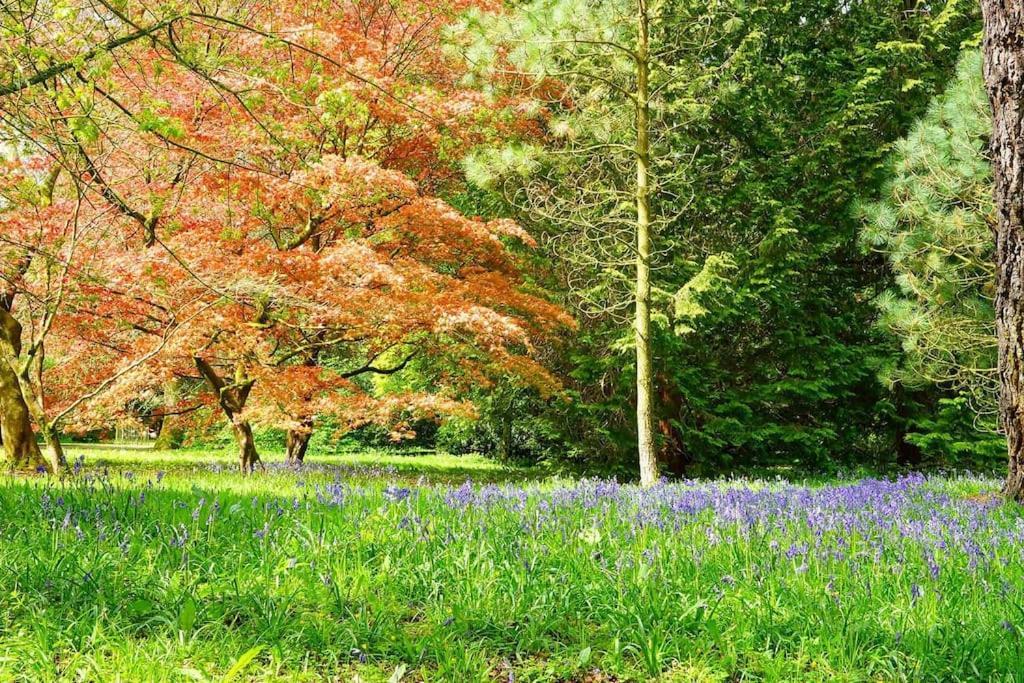Cotswold Manor House - Country House Retreat With Hot Tub, Ideal For Large Groups Petty France Luaran gambar